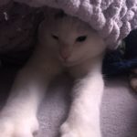 River is in hiding